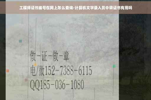 工程师证书编号在网上怎么查询-计算机文字录入员中级证书有用吗