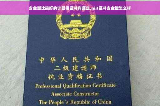 含金量比较好的计算机证书有哪些,niit证书含金量怎么样