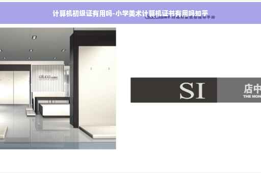 计算机初级证有用吗-小学美术计算机证书有用吗知乎