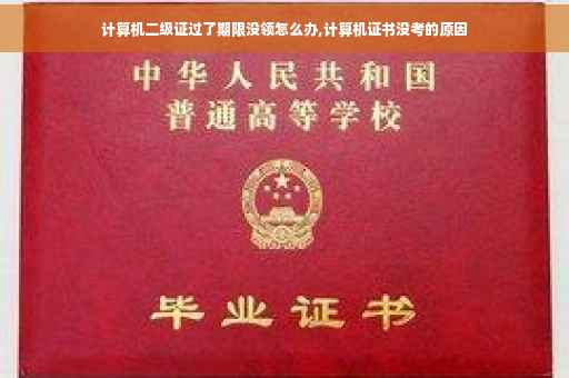 计算机二级证过了期限没领怎么办,计算机证书没考的原因