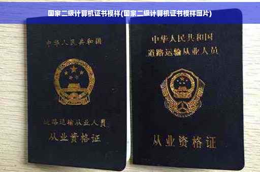国家二级计算机证书模样(国家二级计算机证书模样图片)