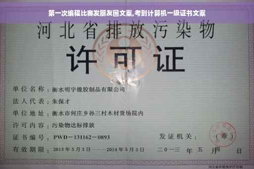 第一次编程比赛发朋友圈文案,考到计算机一级证书文案