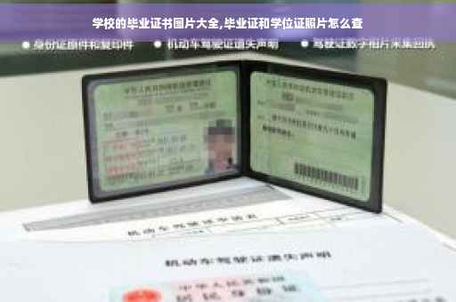 学校的毕业证书图片大全,毕业证和学位证照片怎么查