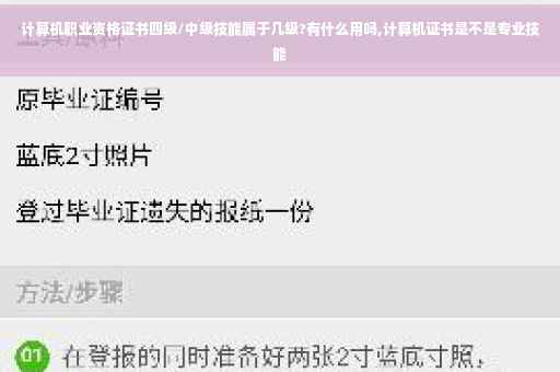 计算机职业资格证书四级/中级技能属于几级?有什么用吗,计算机证书是不是专业技能