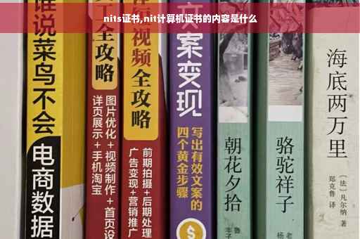 nits证书,nit计算机证书的内容是什么
