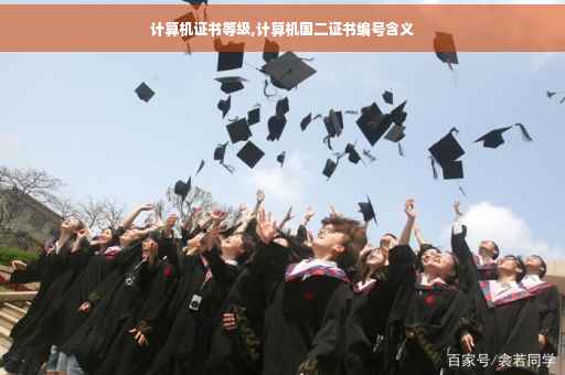 计算机证书等级,计算机国二证书编号含义