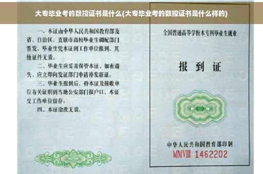 大专毕业考的数控证书是什么(大专毕业考的数控证书是什么样的)