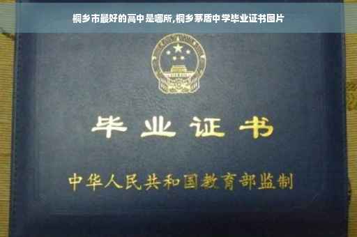 桐乡市最好的高中是哪所,桐乡茅盾中学毕业证书图片