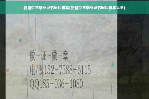 新疆中学毕业证书图片样本(新疆中学毕业证书图片样本大全)