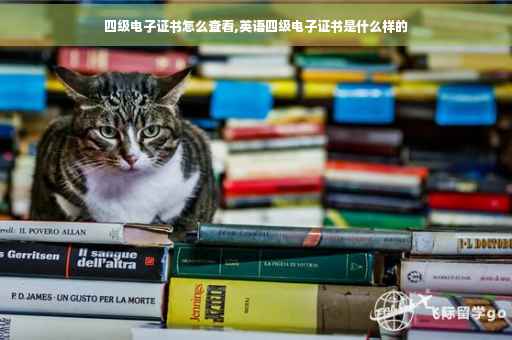 四级电子证书怎么查看,英语四级电子证书是什么样的