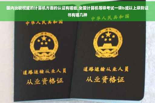 国内比较权威的计算机方面的认证有哪些,全国计算机等级考试一级b或以上级别证书有哪几种