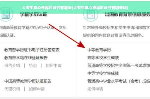 大专生真心推荐的证书有哪些(大专生真心推荐的证书有哪些呢)