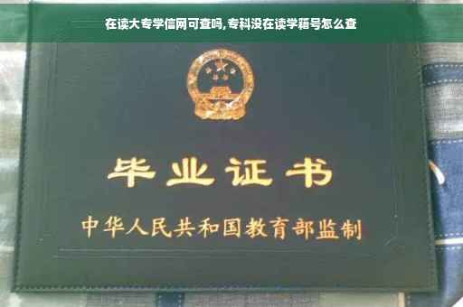 在读大专学信网可查吗,专科没在读学籍号怎么查