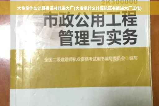大专拿什么计算机证书能进大厂(大专拿什么计算机证书能进大厂工作)