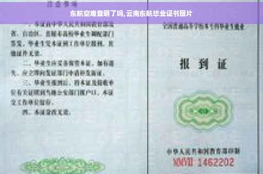 东航空难查明了吗,云南东航毕业证书图片