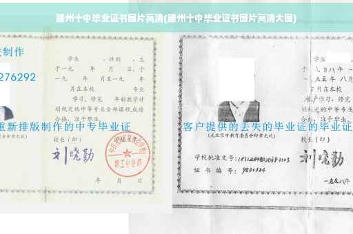 滕州十中毕业证书图片高清(滕州十中毕业证书图片高清大图)