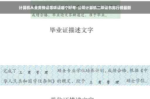 计算机从业资格证等级证哪个好考-公司计算机二级证书排行榜最新