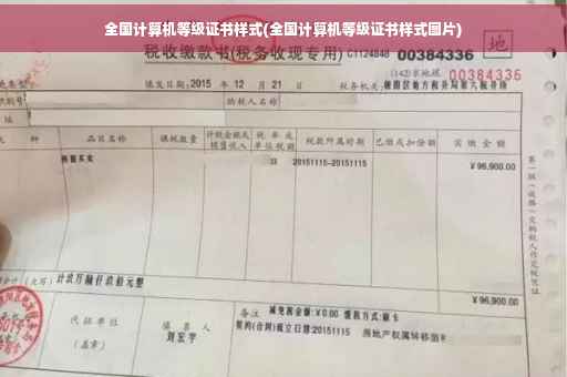 全国计算机等级证书样式(全国计算机等级证书样式图片)