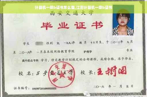 计算机一级b证书怎么查,江苏计算机一级b证书