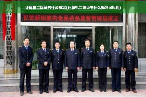 计算机二级证书什么概念(计算机二级证书什么概念可以用)