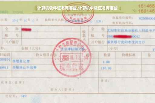 计算机软件证书有哪些,计算机中级证书有哪些