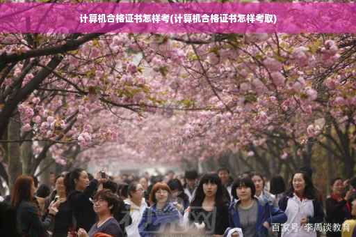 计算机合格证书怎样考(计算机合格证书怎样考取)