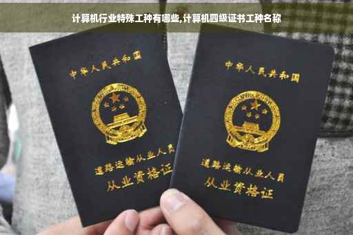 计算机行业特殊工种有哪些,计算机四级证书工种名称