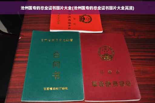 沧州医专的毕业证书图片大全(沧州医专的毕业证书图片大全高清)