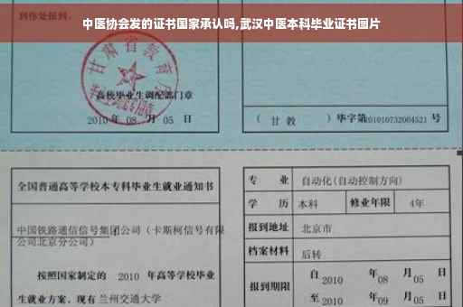 中医协会发的证书国家承认吗,武汉中医本科毕业证书图片