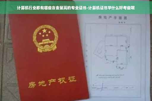 计算机行业都有哪些含金量高的专业证书-计算机证书学什么好考些呢