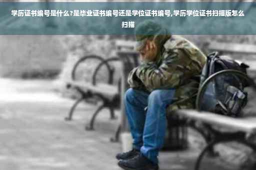 学历证书编号是什么?是毕业证书编号还是学位证书编号,学历学位证书扫描版怎么扫描
