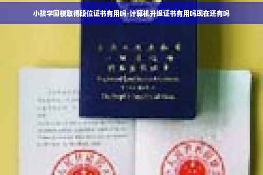 小孩学围棋取得段位证书有用吗-计算机升级证书有用吗现在还有吗