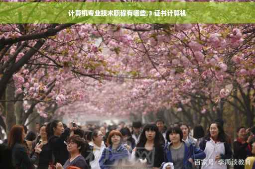 计算机专业技术职称有哪些,3 证书计算机