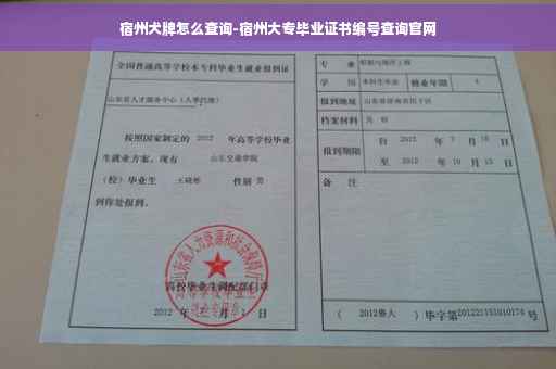 宿州犬牌怎么查询-宿州大专毕业证书编号查询官网