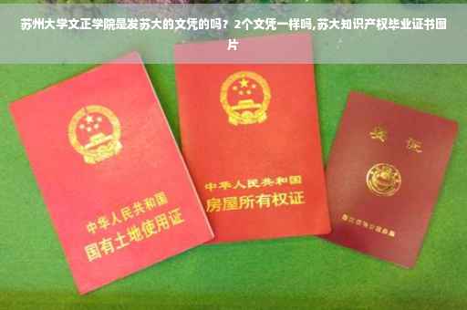 苏州大学文正学院是发苏大的文凭的吗？2个文凭一样吗,苏大知识产权毕业证书图片