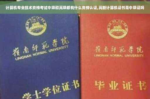计算机专业技术资格考试中级和高级都有什么资格认证,高新计算机证书是中级证吗