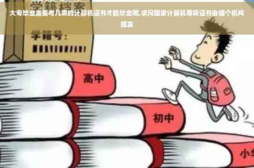 大专毕业需要考几级的计算机证书才能毕业呢,求问国家计算机等级证书由哪个机构颁发