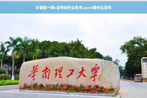 计算机一级c证书叫什么名字,accv是什么证书