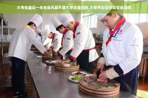 大专生最后一年去当兵算不算大学毕业去的,大专学历证书是毕业证吗
