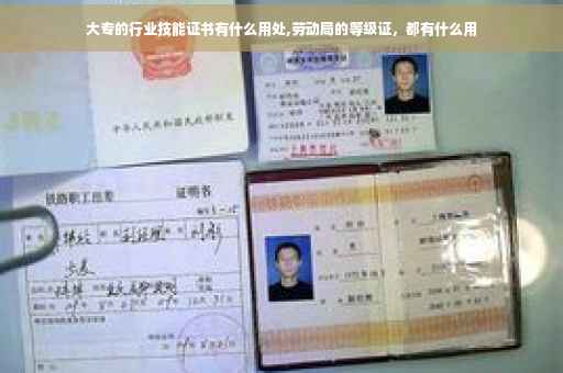 大专的行业技能证书有什么用处,劳动局的等级证，都有什么用