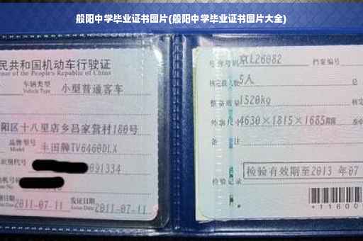 般阳中学毕业证书图片(般阳中学毕业证书图片大全)