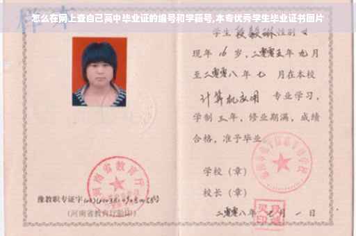 怎么在网上查自己高中毕业证的编号和学籍号,本专优秀学生毕业证书图片