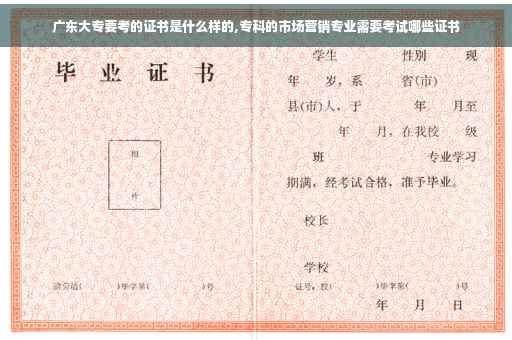 广东大专要考的证书是什么样的,专科的市场营销专业需要考试哪些证书