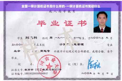 全国一级计算机证书是什么样的-一级计算机证书简称什么