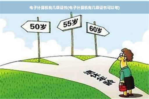电子计算机有几级证书(电子计算机有几级证书可以考) 电子计算机有几级证书(电子计算机有几级证书可以考)