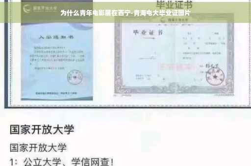 为什么青年电影展在西宁-青海电大毕业证图片