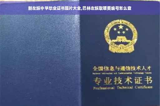 新左旗中学毕业证书图片大全,巴林左旗取暖费编号怎么查