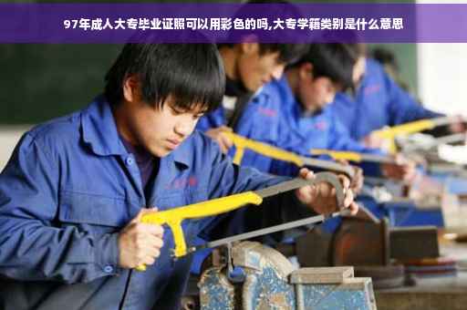 97年成人大专毕业证照可以用彩色的吗,大专学籍类别是什么意思