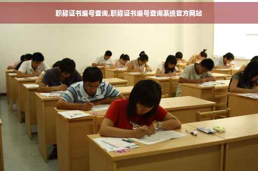 职称证书编号查询,职称证书编号查询系统官方网站