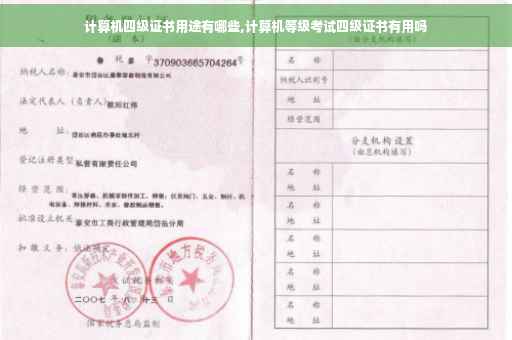 计算机四级证书用途有哪些,计算机等级考试四级证书有用吗